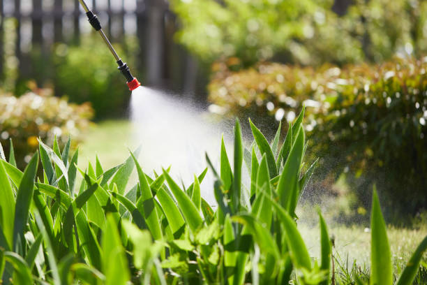 Tamper-Resistant Bait Stations for Rodents in Pearson