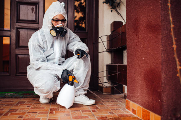 Attic and Crawl Space Rodent Treatment in Pearson